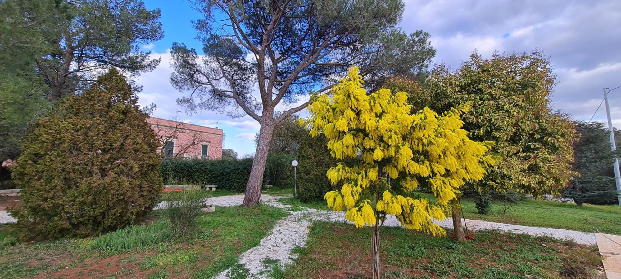 Villa Morea Putignano Exterior foto